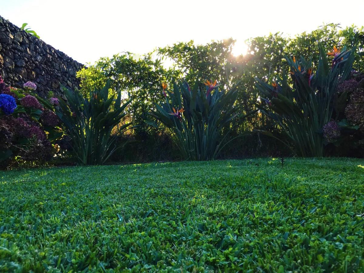 Surf Beach_Santa Barbara Secret Gardens Ribeira Grande Exterior photo